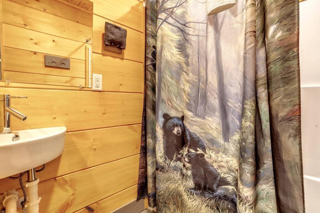 Dancing Bear Cabin- Relax & Enjoy! セバービル エクステリア 写真